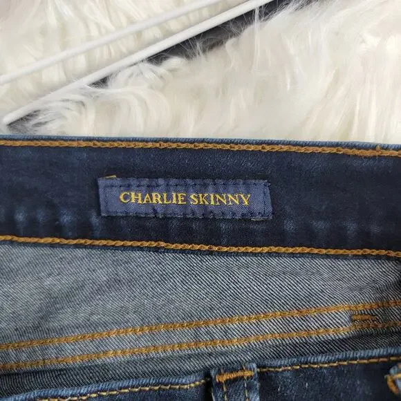 Lucky Brand Charlie Skinny Jeans - Picture 13 of 13